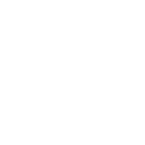 Knight