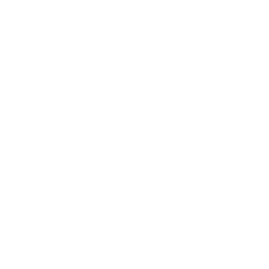Rook